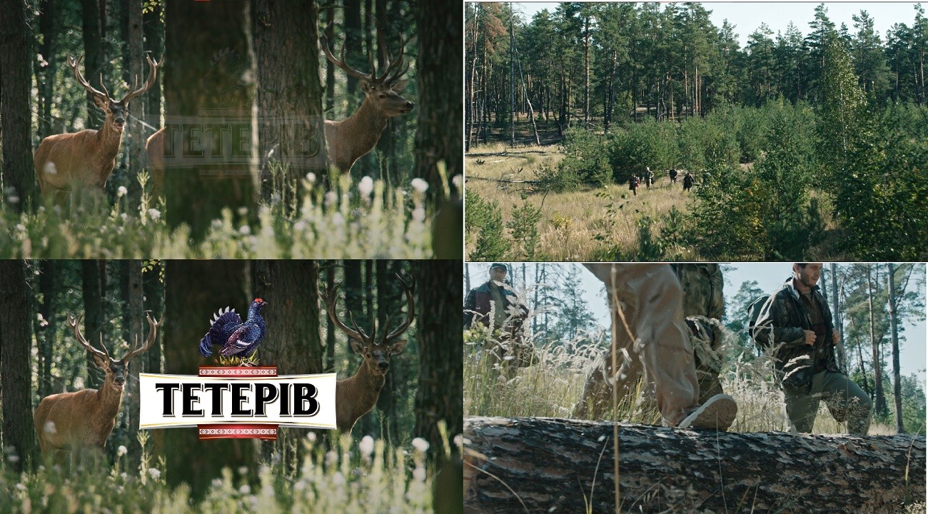 тетерів