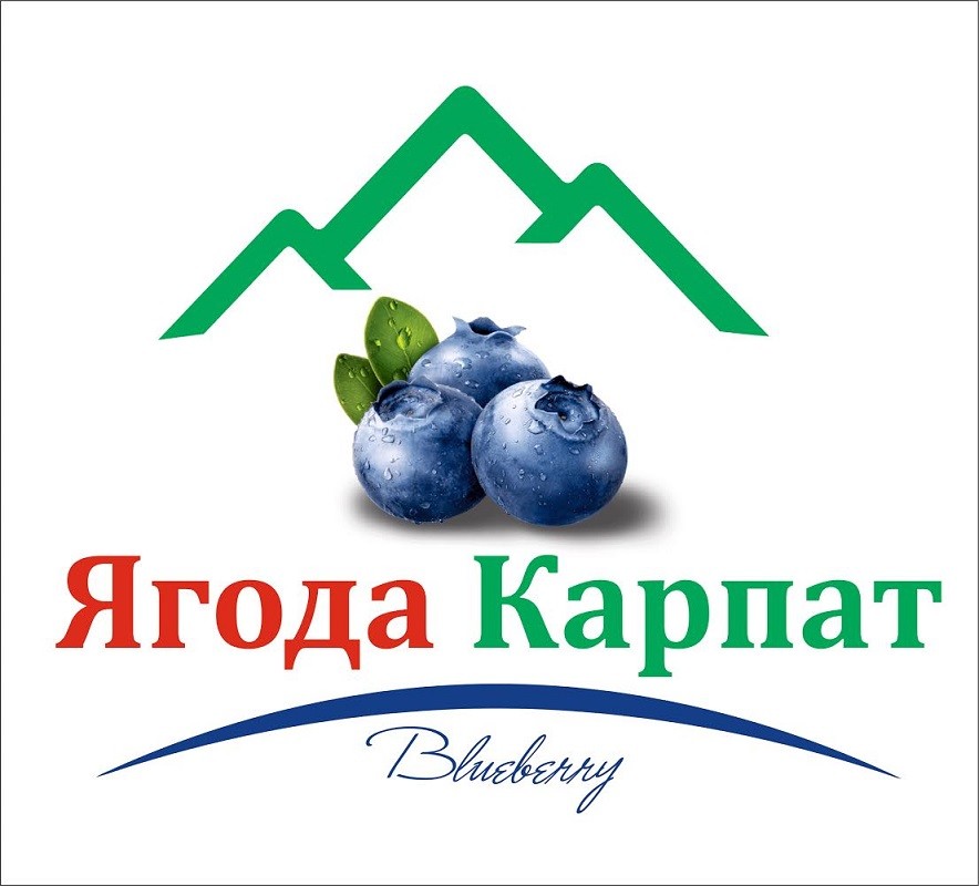 ягода карпат