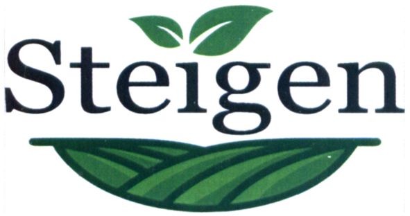 steigen