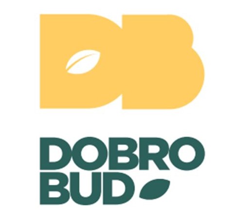 dobro bud