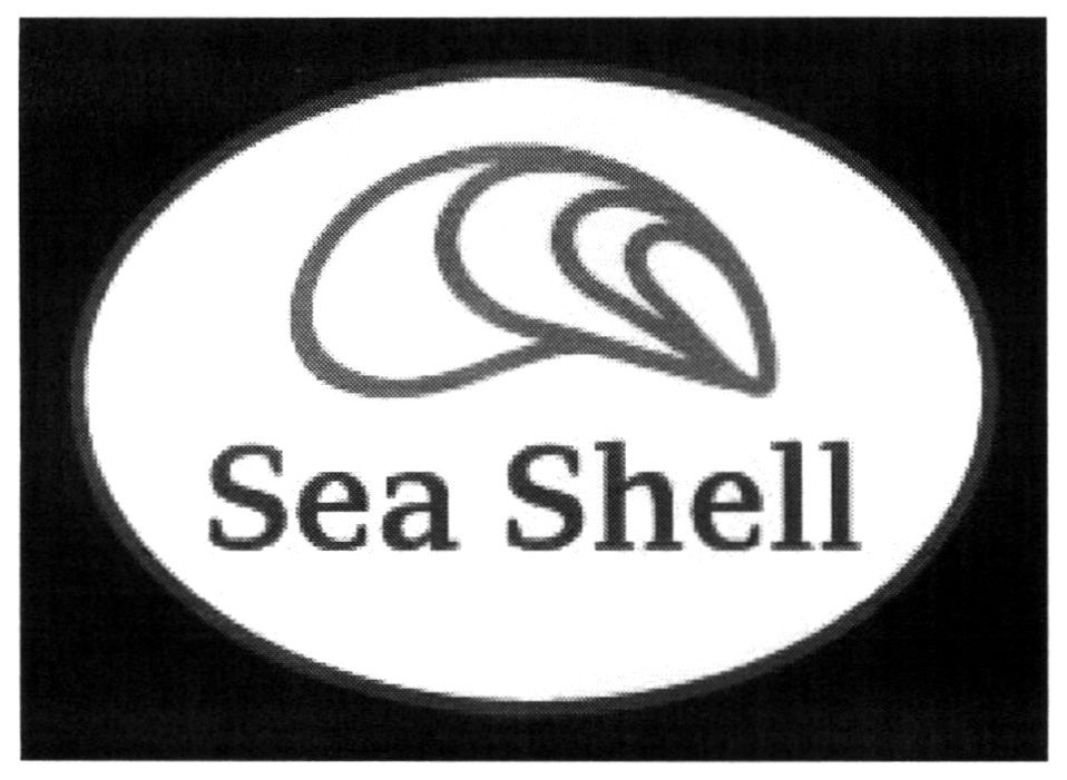 sea shell