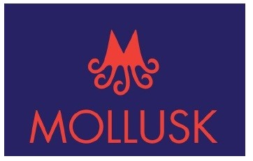 mollusk