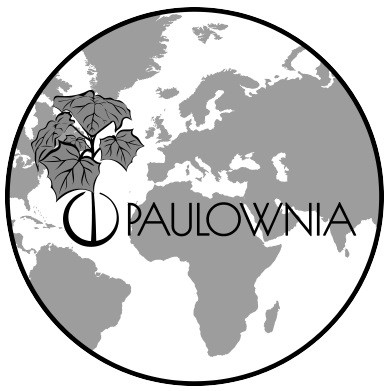paulownia