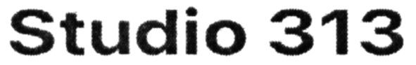studio 313