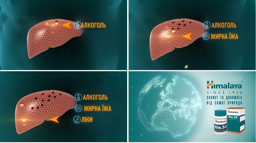 захист та допомога від самої природи