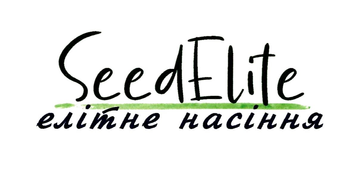 елітне насіння
