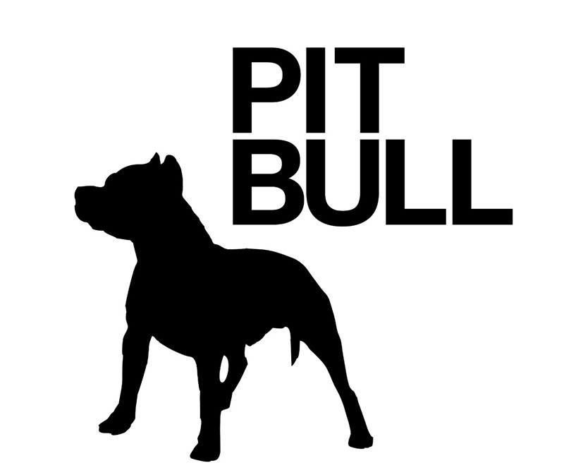 pit bull