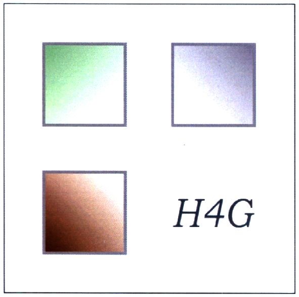 h4g