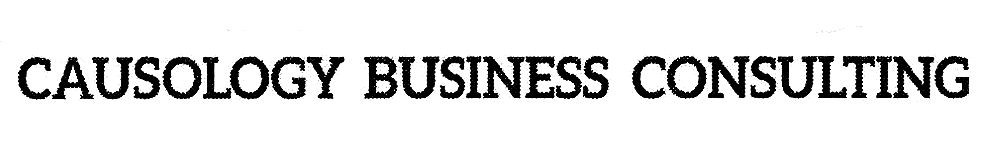 causology business consulting