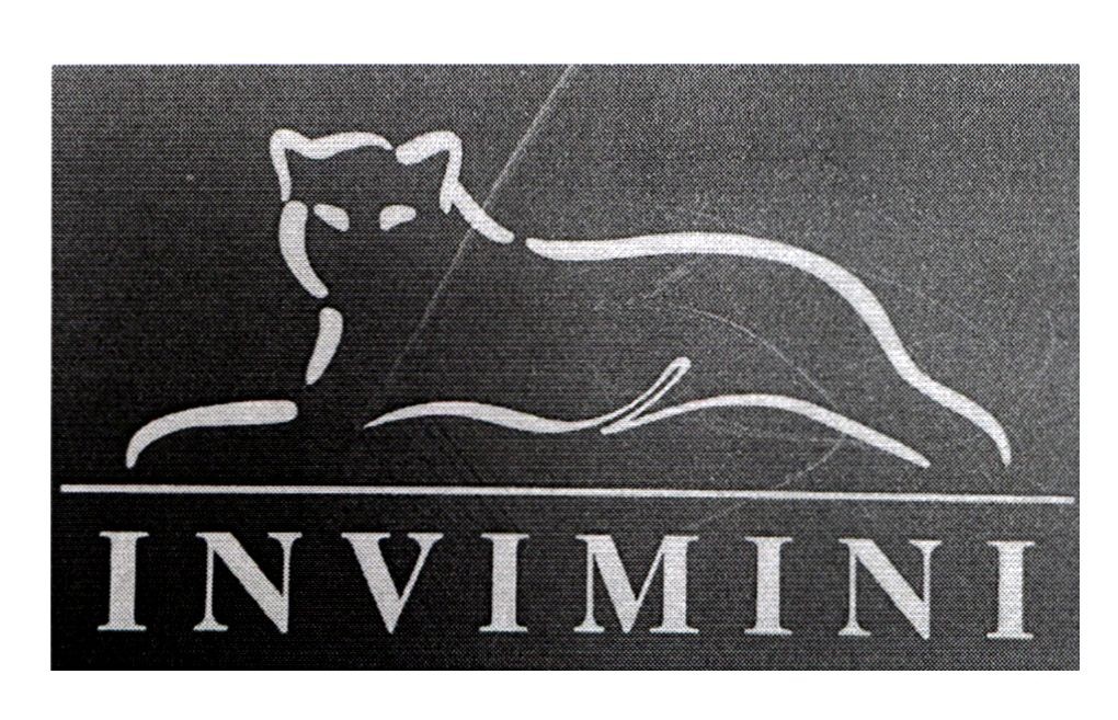 invimini