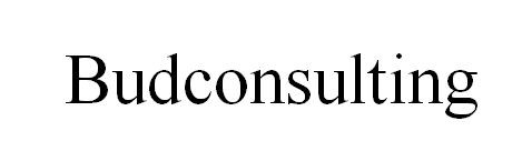 budconsulting