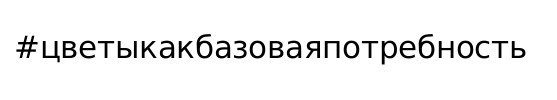 цветы как базовая потребность