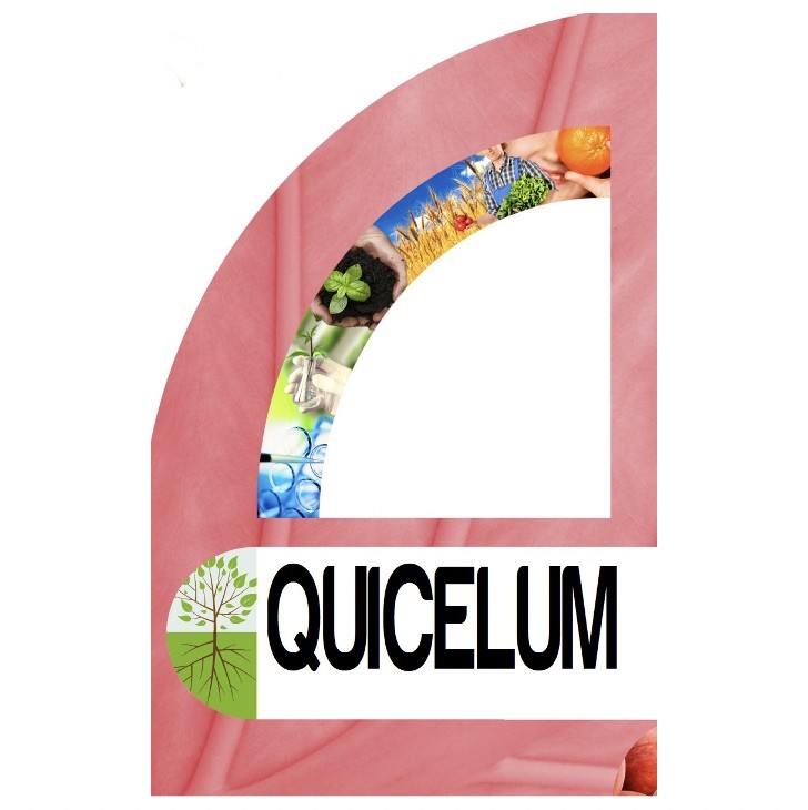 quicelum