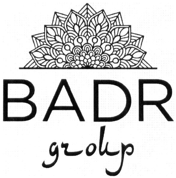 badr group
