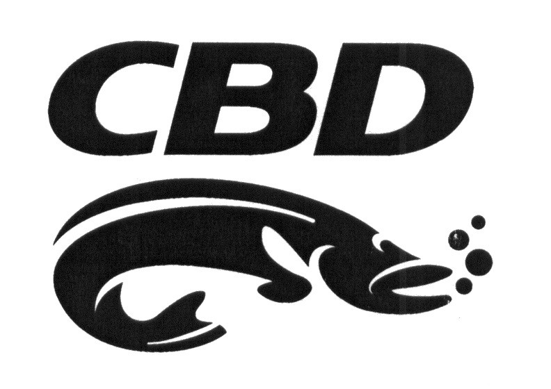 cbd