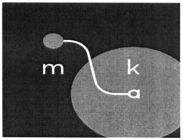 molka