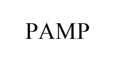 pamp