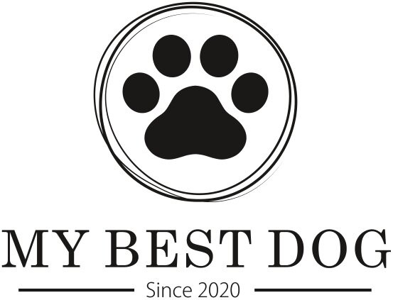 my best dog since 2020