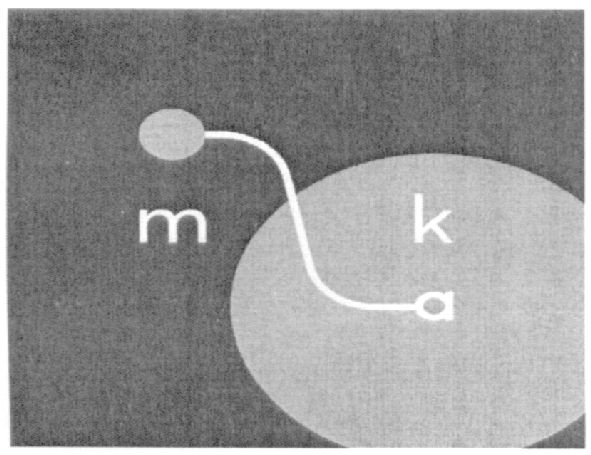 molka