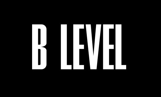 b level