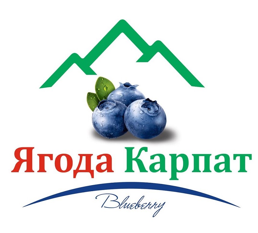 ягода карпат