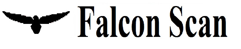 falcon scan
