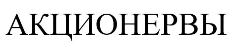 акционервы