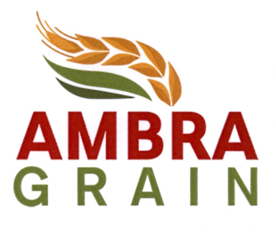 ambra grain