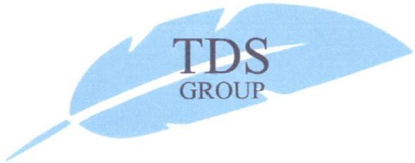 tds group