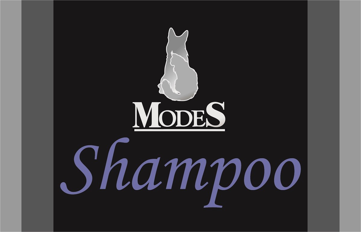 modes shampoo