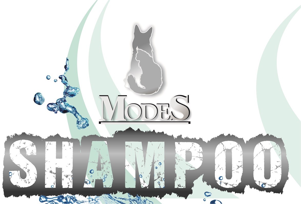 modes shampoo