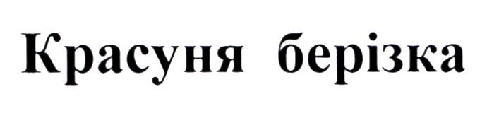 красуня берізка