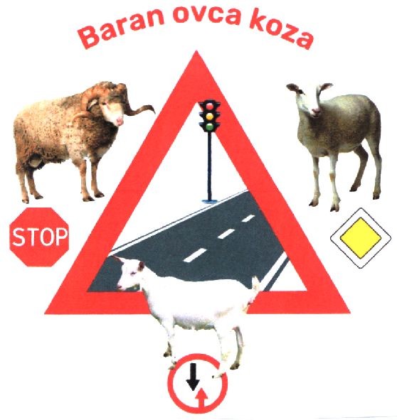 baran ovca koza