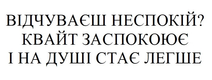 відчуваєш неспокій? квайт заспокоює і на душі стає легше