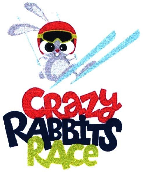 crazy rabbits race