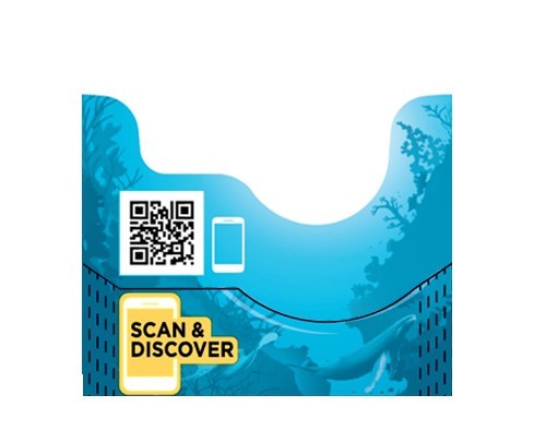 scan&discover