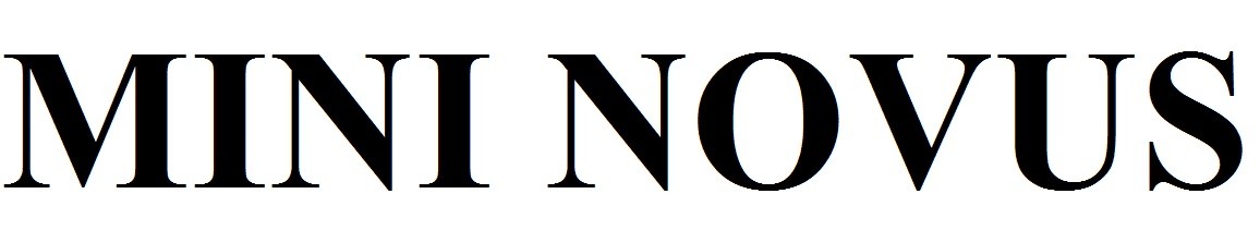 mini novus