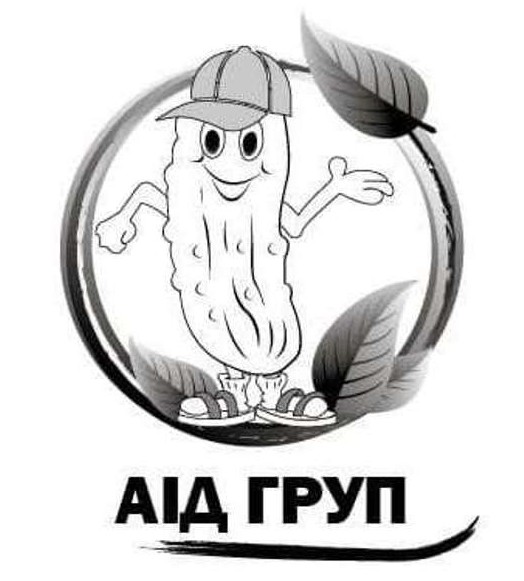 аід груп
