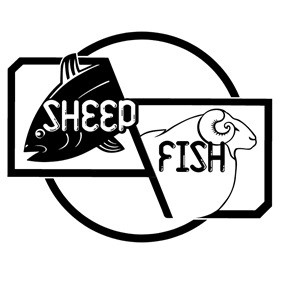 sheep