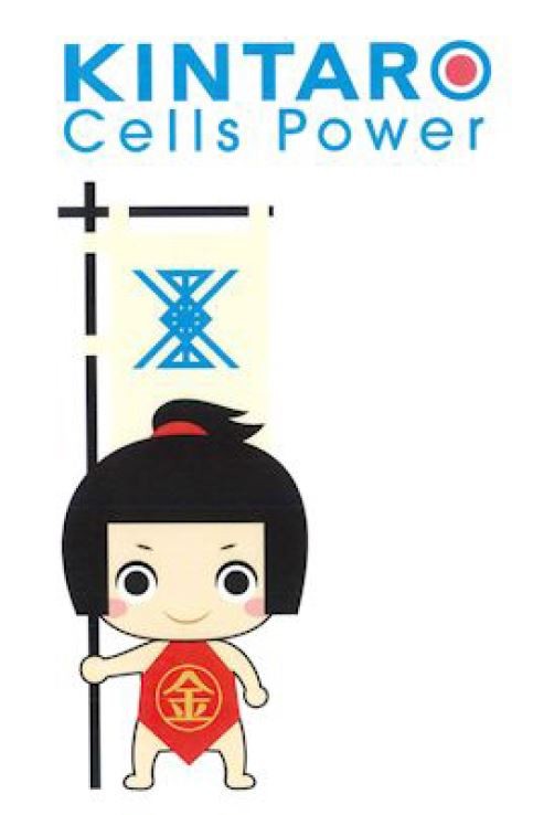 kintaro cells power