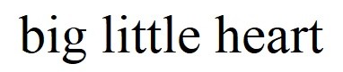 big little heart