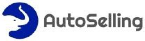 auto selling
