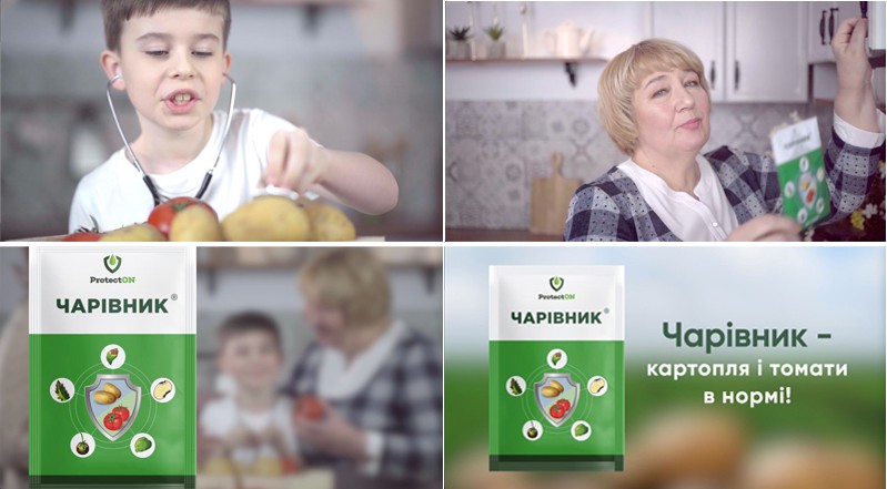 чарівник-картопля і томати в нормі