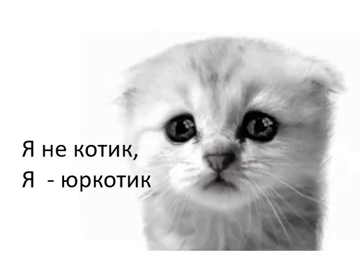 я не котик, я-юркотик
