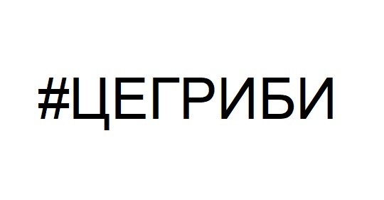 #цегриби