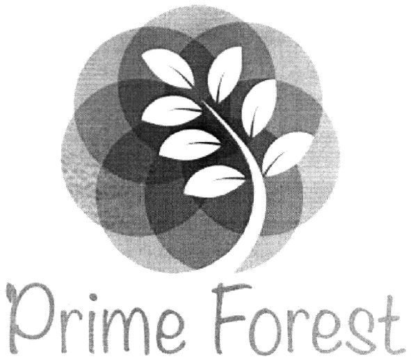 prime forest