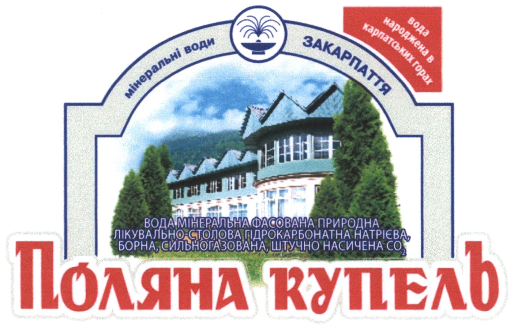 вода мінеральна фасована природна лікувально-столова гідрокарбонатна натрієва, борна, сильногазована, штучно насичена со2
