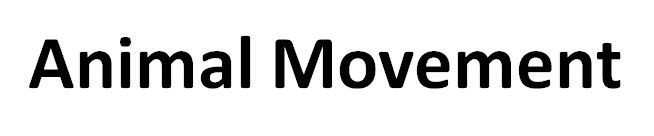 animal movement