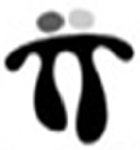 ii
