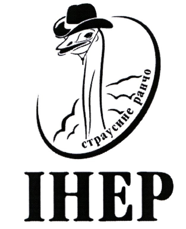 страусине ранчо